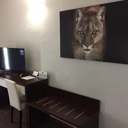 Fontana Plaza Hotel 3*